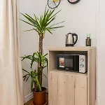 Апартаменты Brasov Holiday Residence Брашов