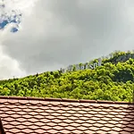 Brasov Holiday Residence * בראשוב