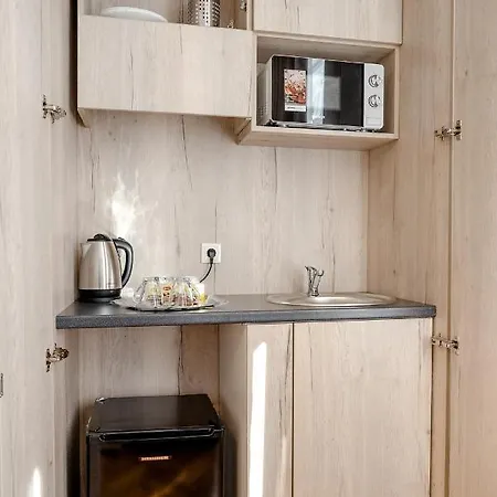 Brasov Holiday Residence 公寓 *