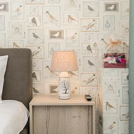 公寓 Brasov Holiday Residence *