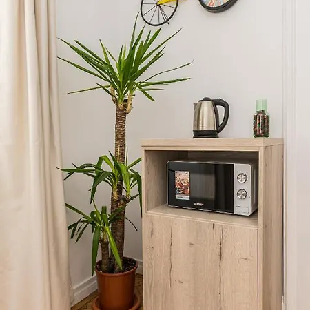 公寓 Brasov Holiday Residence 布拉索夫