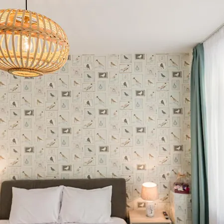 Brasov Holiday Residence 公寓 *