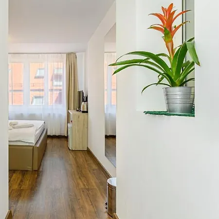 公寓 Brasov Holiday Residence